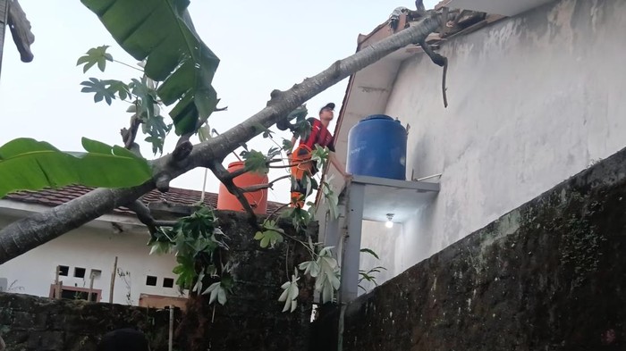 Pohon Tumbang Timpa Rumah di Bogor Barat Akibat Angin Kencang