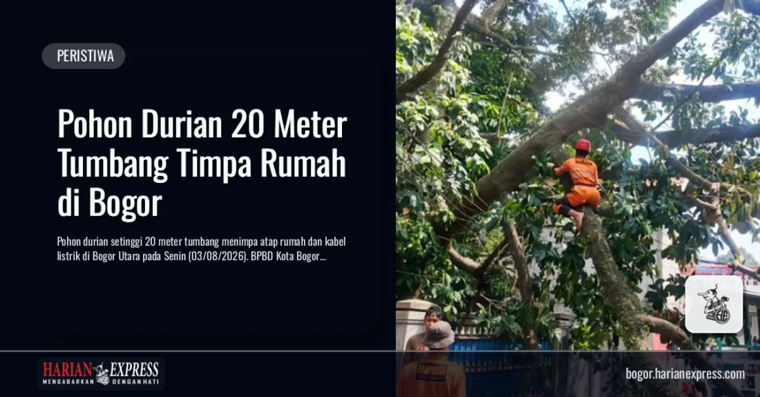 Pohon Durian 20 Meter Tumbang Timpa Rumah di Bogor