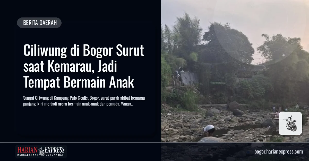 Ciliwung di Bogor Surut saat Kemarau, Jadi Tempat Bermain Anak