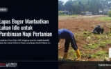 Lapas Bogor Manfaatkan Lahan Idle untuk Pembinaan Napi Pertanian