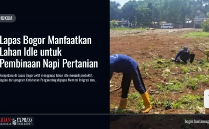 Lapas Bogor Manfaatkan Lahan Idle untuk Pembinaan Napi Pertanian