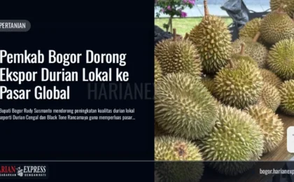 Pemkab Bogor Dorong Ekspor Durian Lokal ke Pasar Global