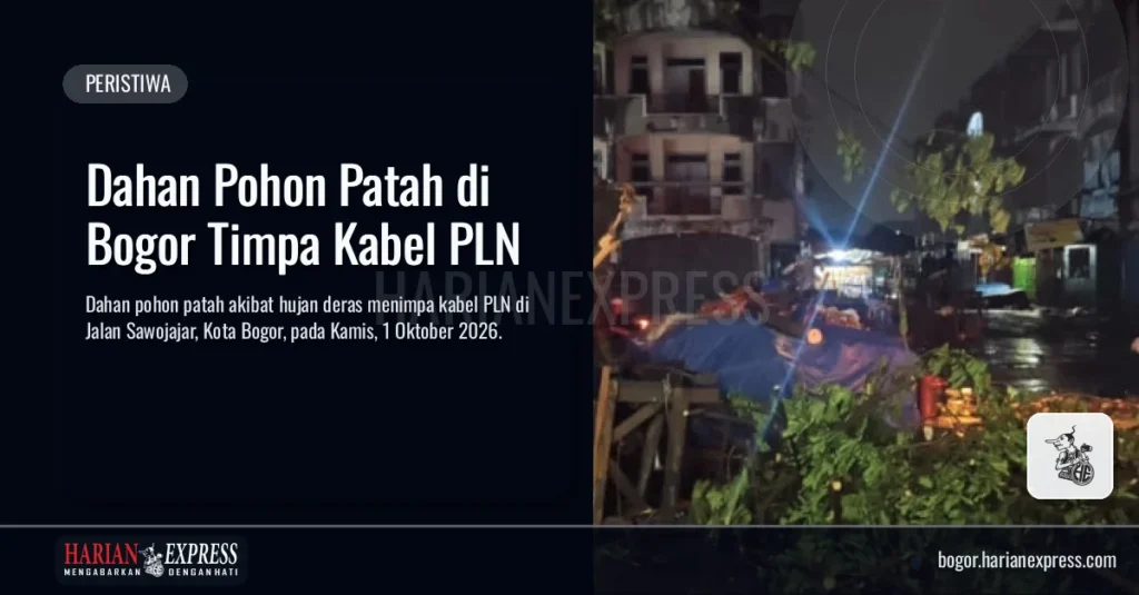Dahan Pohon Patah di Bogor Timpa Kabel PLN