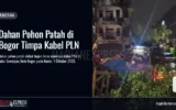 Dahan Pohon Patah di Bogor Timpa Kabel PLN