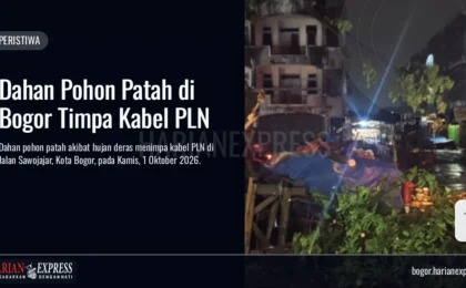 Dahan Pohon Patah di Bogor Timpa Kabel PLN