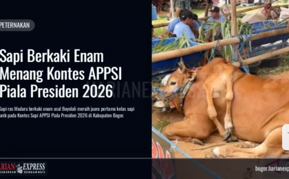 Sapi Berkaki Enam Menang Kontes APPSI Piala Presiden 2026